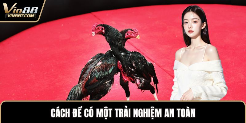 Đá Gà Trực Tiếp – Trải Nghiệm Vô Cùng Kịch Tính Đỉnh Cao - Lorix Đá Gà Trực Tiếp – Trải Nghiệm Vô Cùng Kịch Tính Đỉnh Cao - Lorix