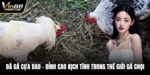 Đá Gà VIN88: Trải Nghiệm Đấu Kê Online Gay Cấn, Minh Bạch - Lorix