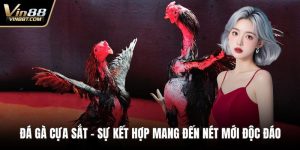 Đá Gà VIN88: Trải Nghiệm Đấu Kê Online Gay Cấn, Minh Bạch - Lorix
