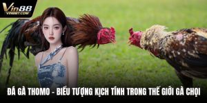 Đá Gà VIN88: Trải Nghiệm Đấu Kê Online Gay Cấn, Minh Bạch - Lorix