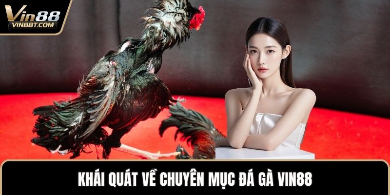 Đá Gà VIN88: Trải Nghiệm Đấu Kê Online Gay Cấn, Minh Bạch - Lorix