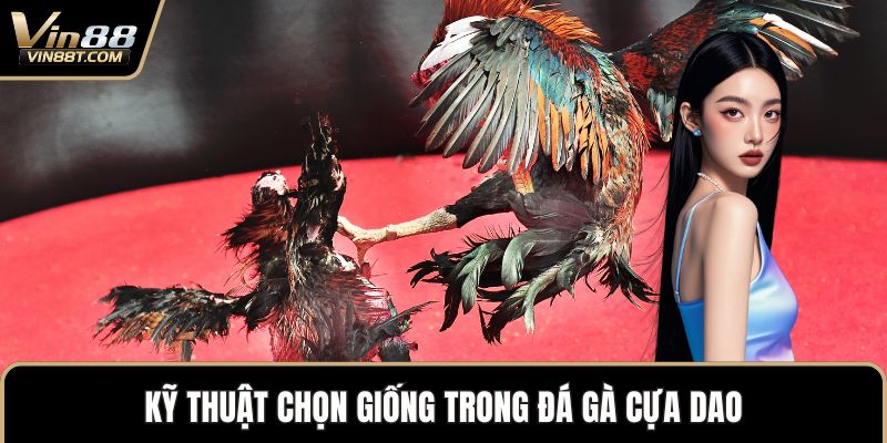 Đá Gà Cựa Dao – Đỉnh Cao Kịch Tính Trong Thế Giới Gà Chọi - Lorix Đá Gà Cựa Dao – Đỉnh Cao Kịch Tính Trong Thế Giới Gà Chọi - Lorix
