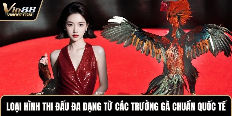 Đá Gà VIN88: Trải Nghiệm Đấu Kê Online Gay Cấn, Minh Bạch - Lorix