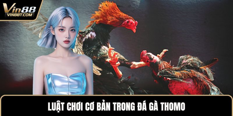 Đá Gà Thomo – Biểu Tượng Kịch Tính Trong Thế Giới Gà Chọi - Lorix Đá Gà Thomo – Biểu Tượng Kịch Tính Trong Thế Giới Gà Chọi - Lorix