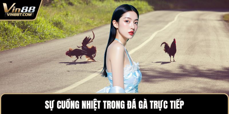 Đá Gà Trực Tiếp – Trải Nghiệm Vô Cùng Kịch Tính Đỉnh Cao - Lorix Đá Gà Trực Tiếp – Trải Nghiệm Vô Cùng Kịch Tính Đỉnh Cao - Lorix