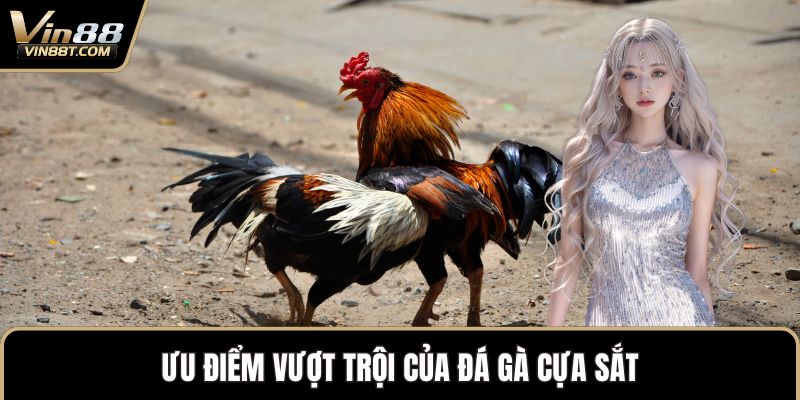 Đá Gà Cựa Sắt – Sự Kết Hợp Mang Đến Nét Mới Độc Đáo - Lorix Đá Gà Cựa Sắt – Sự Kết Hợp Mang Đến Nét Mới Độc Đáo - Lorix