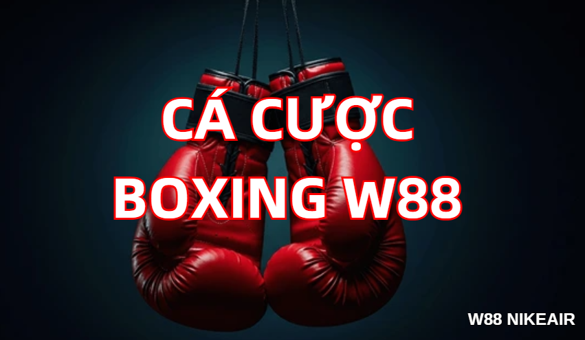Cược W88 - W88 - Lorix