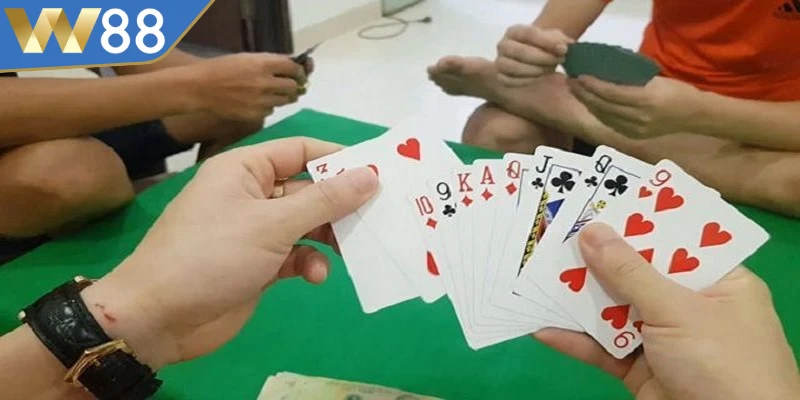 Cách Chơi Bài Câu Cá - Mẹo Thắng Nhanh Từ Chuyên Gia - Lorix Cách Chơi Bài Câu Cá - Mẹo Thắng Nhanh Từ Chuyên Gia - Lorix