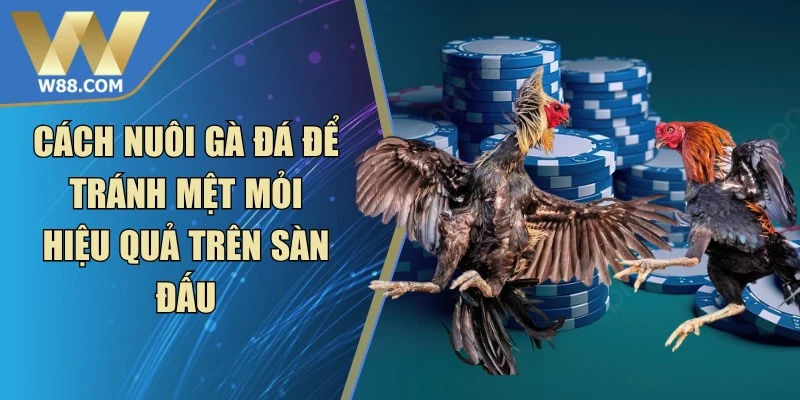 Cách Làm Gà Đá Tăng Tốc - Phương Pháp Nhanh Hiệu Quả Nhất - Lorix