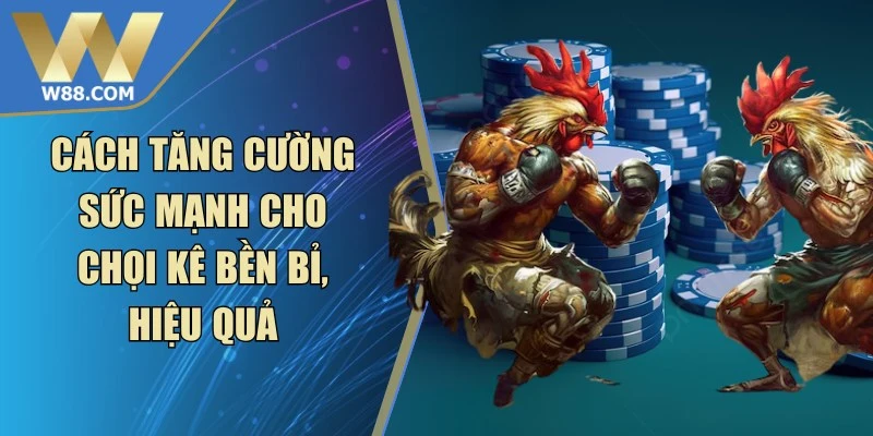 Đá Gà W88 - W88 - Lorix