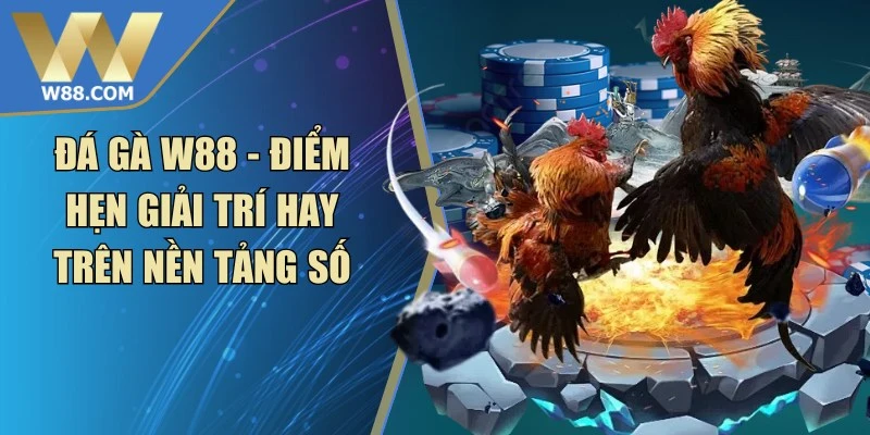 Mẹo Nuôi Gà Đá Tăng Cơ Bắp Săn Chắc Hiệu Quả Từ Chuyên Gia - Lorix