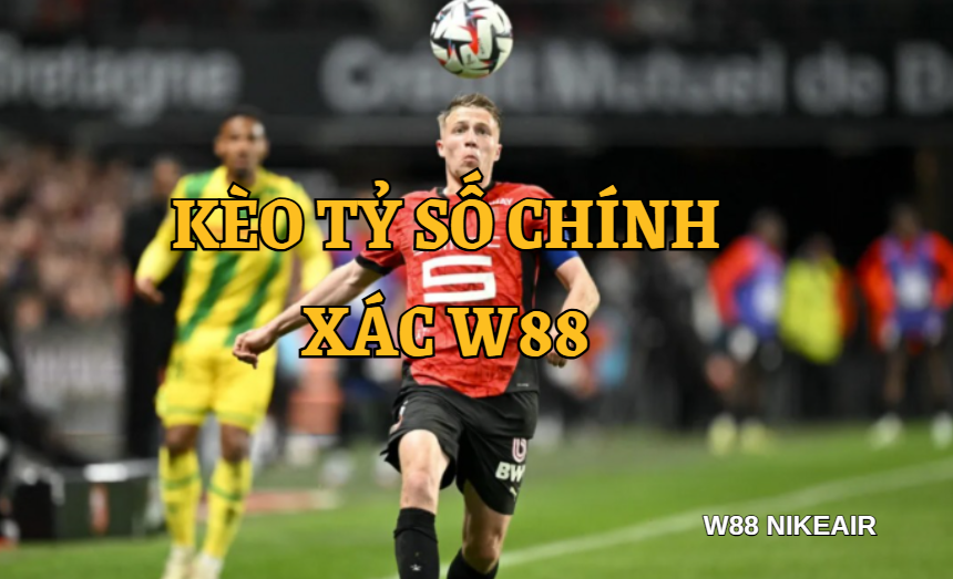 Cược W88 - W88 - Lorix