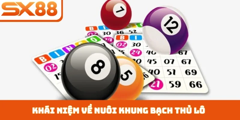 Nuôi Khung Bạch Thủ Lô - Bí Kíp Chọn Số Từ Cao Thủ SX88 - Lorix
