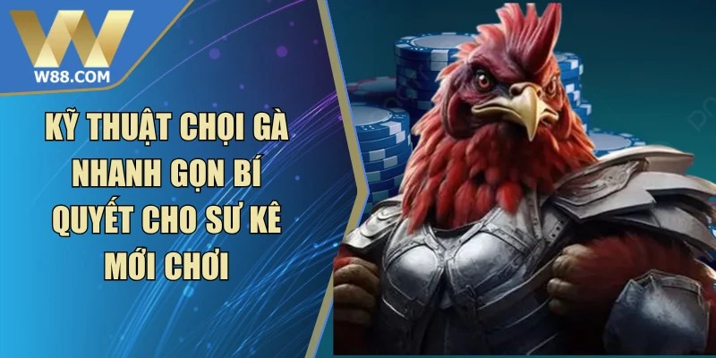 Đá Gà Cựa - Khái Niệm Các Loại Cựa Và Luật Thi Đấu - Lorix