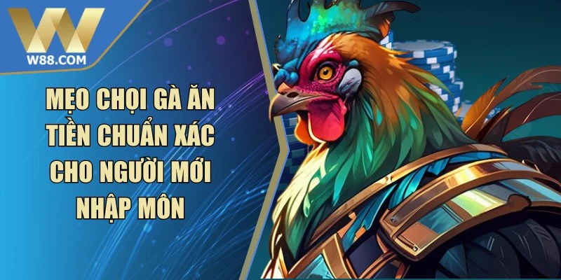 Đá Gà W88 - W88 - Lorix