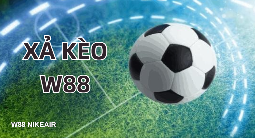 Cược W88 - W88 - Lorix