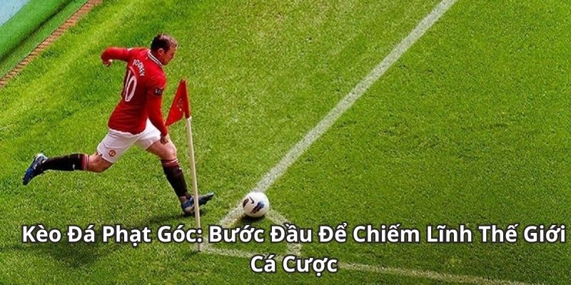 Soi Kèo Phạt Góc: Hướng Dẫn Chi Tiết Cho Người Mới - Lorix