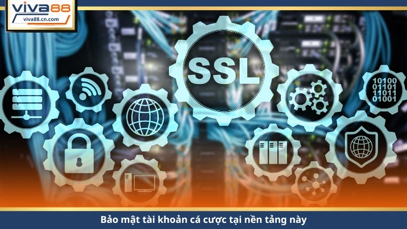 Đăng Ký VIVA88 2026 – Mở Tài Khoản 30s, Nhận Quà Ngay - Lorix
