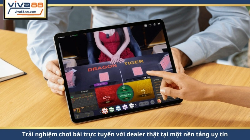 Rồng Hổ 2026 – Luật Chơi, Tỷ Lệ Thắng Và Mẹo Chuẩn - Lorix