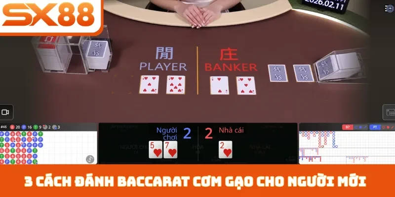 Cách Đánh Baccarat Cơm Gạo - 3 Bí Quyết Kiếm Tiền Tại SX88 - Lorix