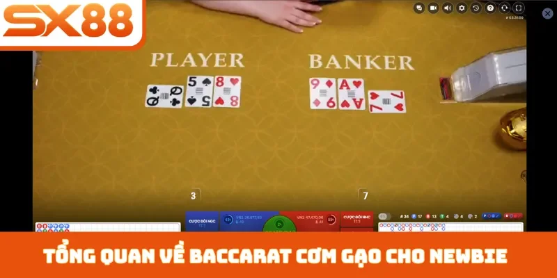 Cách Đánh Baccarat Cơm Gạo - 3 Bí Quyết Kiếm Tiền Tại SX88 - Lorix