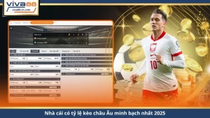 Thể Thao VIVA88 – Cá Cược Bóng Đá Uy Tín, Tỷ Lệ Cạnh Tranh - Lorix