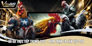 Đá Gà VIN88: Trải Nghiệm Đấu Kê Online Gay Cấn, Minh Bạch - Lorix
