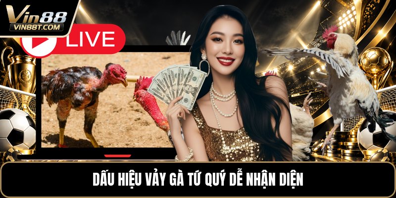 Vảy Gà Tứ Quý - Cách Nhận Biết Chuẩn Khi Xem Chân Gà - Lorix Vảy Gà Tứ Quý - Cách Nhận Biết Chuẩn Khi Xem Chân Gà - Lorix