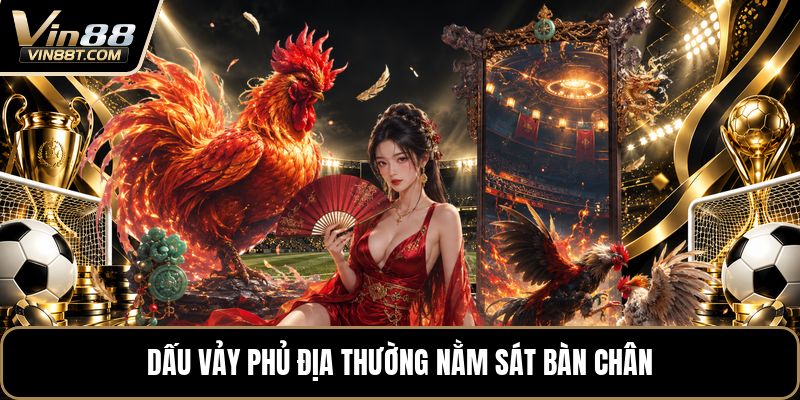 Vảy Gà Tứ Quý Phủ Địa - Cách Nhận Biết Dấu Vảy Chuẩn - Lorix