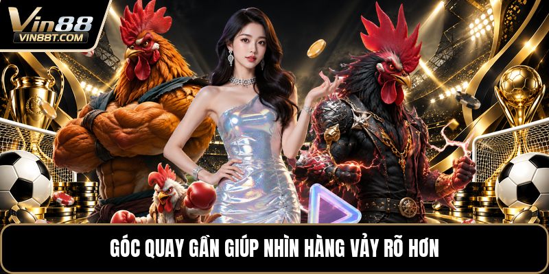 Vảy Gà Tứ Quý - Cách Nhận Biết Chuẩn Khi Xem Chân Gà - Lorix Vảy Gà Tứ Quý - Cách Nhận Biết Chuẩn Khi Xem Chân Gà - Lorix