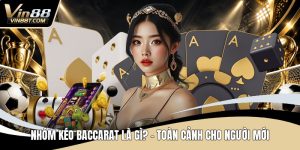 Live Casino VIN88: Cá Cược Thỏa Đam Mê, Rinh Lời Liền Tay - Lorix