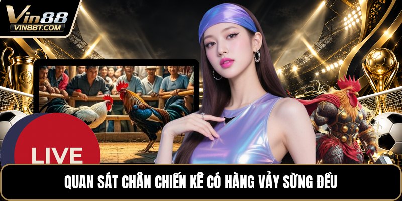 Vảy Gà Tứ Quý Phủ Địa - Cách Nhận Biết Dấu Vảy Chuẩn - Lorix