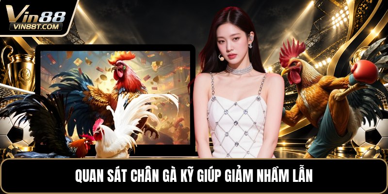 Vảy Gà Tứ Quý Phủ Địa - Cách Nhận Biết Dấu Vảy Chuẩn - Lorix