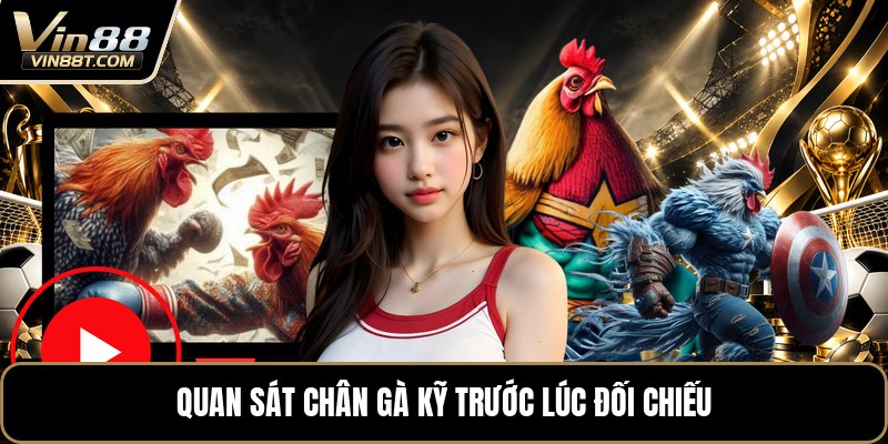 Vảy Gà Khai Vương - Dấu Hiệu Nhận Biết Trên Chân Gà - Lorix Vảy Gà Khai Vương - Dấu Hiệu Nhận Biết Trên Chân Gà - Lorix