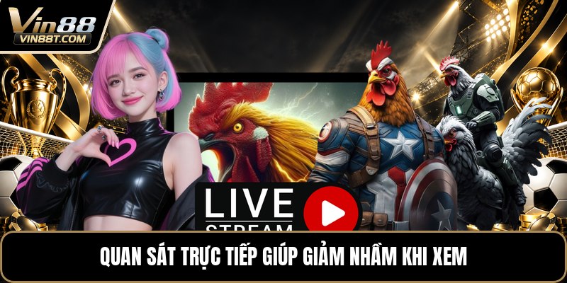 Vảy Gà Tứ Quý - Cách Nhận Biết Chuẩn Khi Xem Chân Gà - Lorix Vảy Gà Tứ Quý - Cách Nhận Biết Chuẩn Khi Xem Chân Gà - Lorix