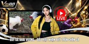 Đá Gà VIN88: Trải Nghiệm Đấu Kê Online Gay Cấn, Minh Bạch - Lorix