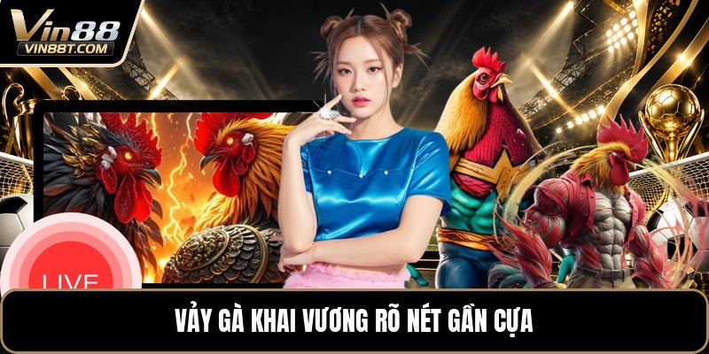 Vảy Gà Khai Vương - Dấu Hiệu Nhận Biết Trên Chân Gà - Lorix Vảy Gà Khai Vương - Dấu Hiệu Nhận Biết Trên Chân Gà - Lorix