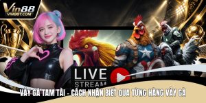 Đá Gà VIN88: Trải Nghiệm Đấu Kê Online Gay Cấn, Minh Bạch - Lorix