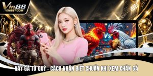 Đá Gà VIN88: Trải Nghiệm Đấu Kê Online Gay Cấn, Minh Bạch - Lorix