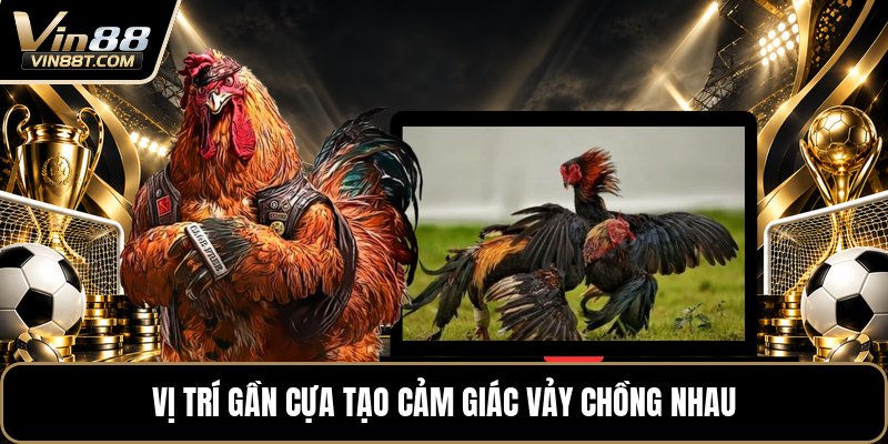 Vảy Gà Tứ Quý - Cách Nhận Biết Chuẩn Khi Xem Chân Gà - Lorix Vảy Gà Tứ Quý - Cách Nhận Biết Chuẩn Khi Xem Chân Gà - Lorix
